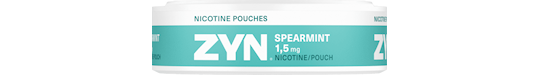 7909 - ZYN Spearmint S1 90-540x540Png.png