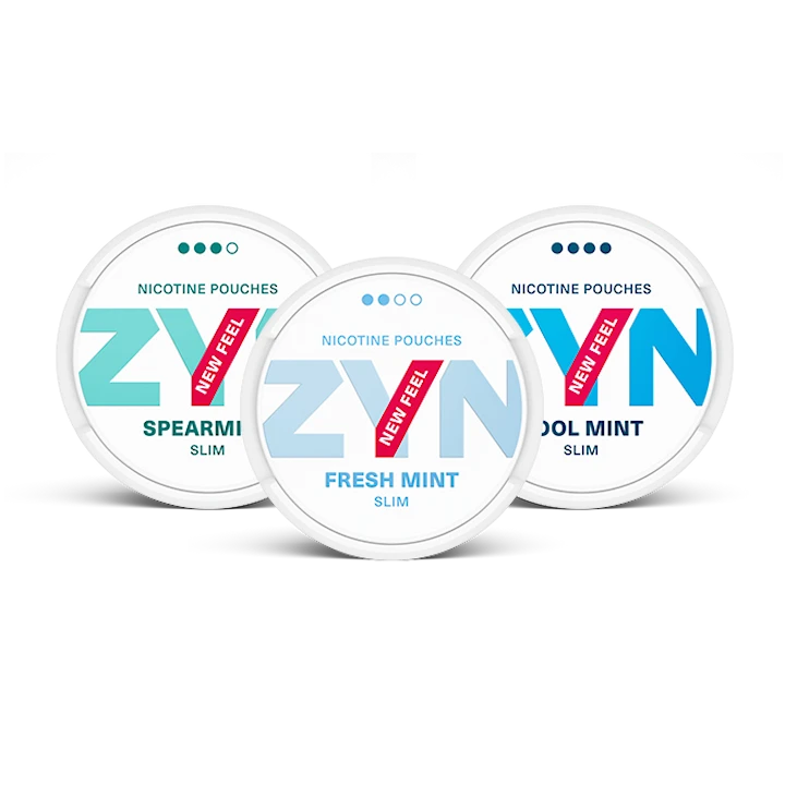 ZYN Mint Mixpaket