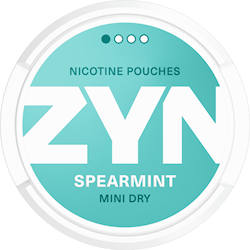 ZYN Spearmint Mini Dry Low