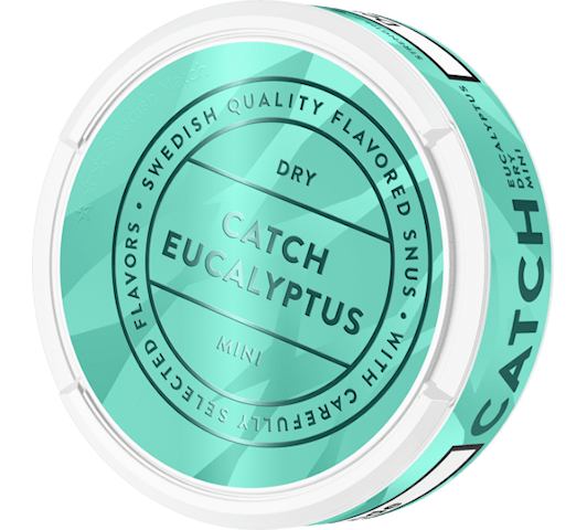 Catch_SNUS_Dry_Eucalyptus_60-540x540Png.png