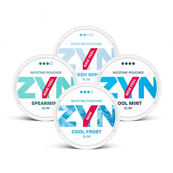 ZYN Mint Mixpaket