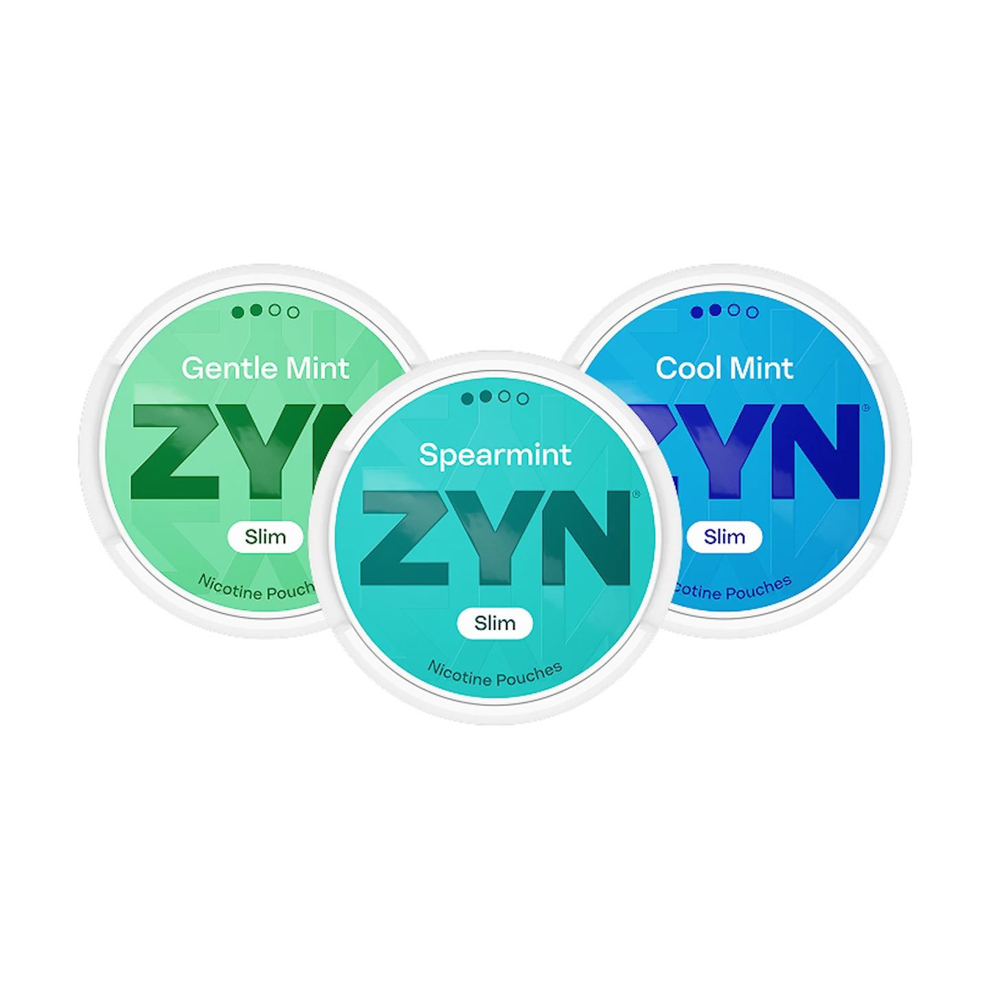 ZYN Mixpaket Mint Normal