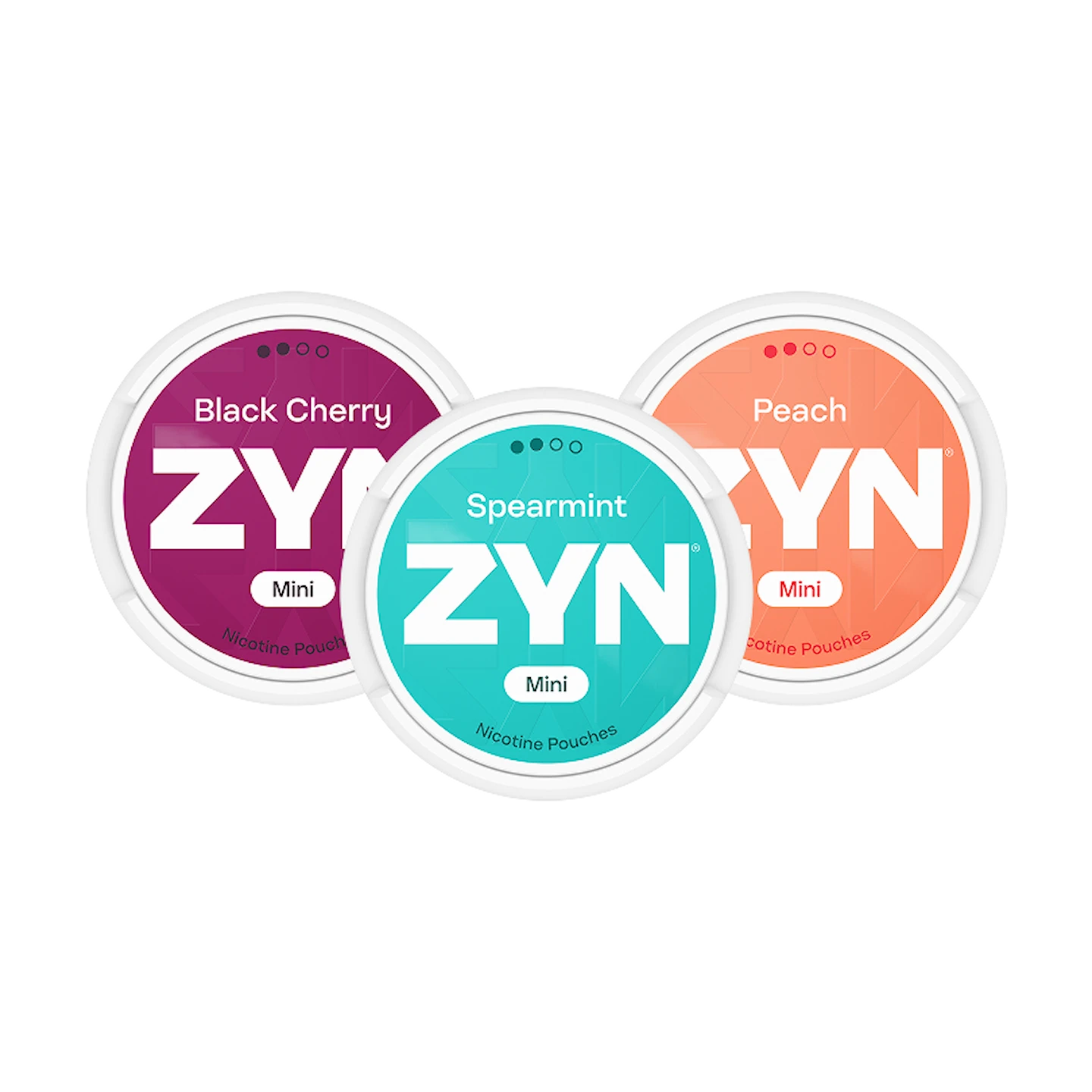 ZYN Mixpaket Frukt & Mint Mini