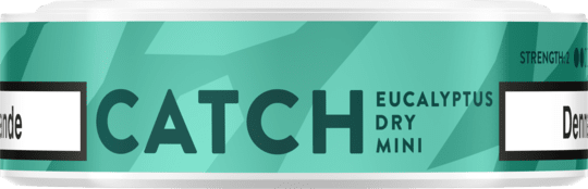 Catch_SNUS_Dry_Eucalyptus_90-540x540Png.png