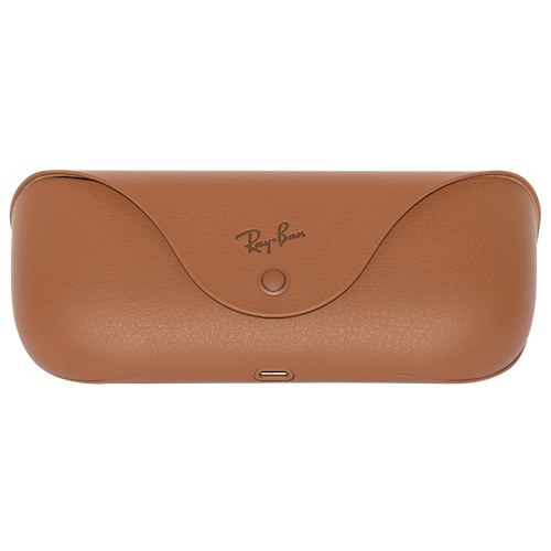 Ray-Ban Meta Wayfarer